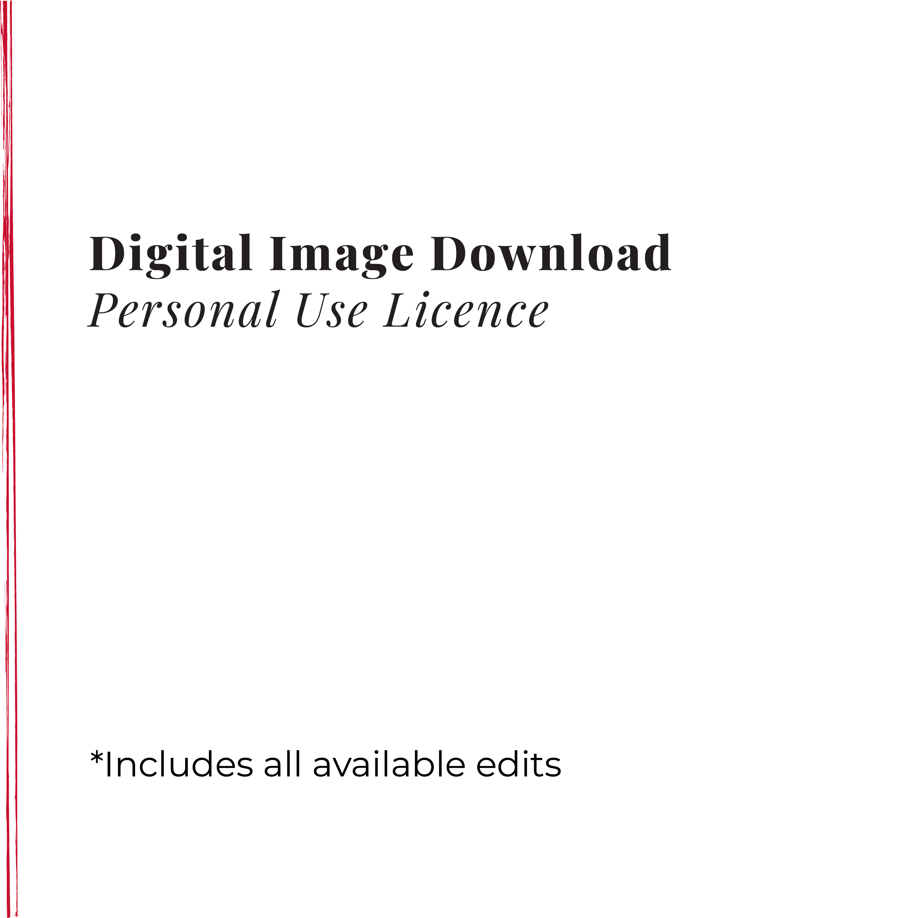 🔐 Digital Image Download