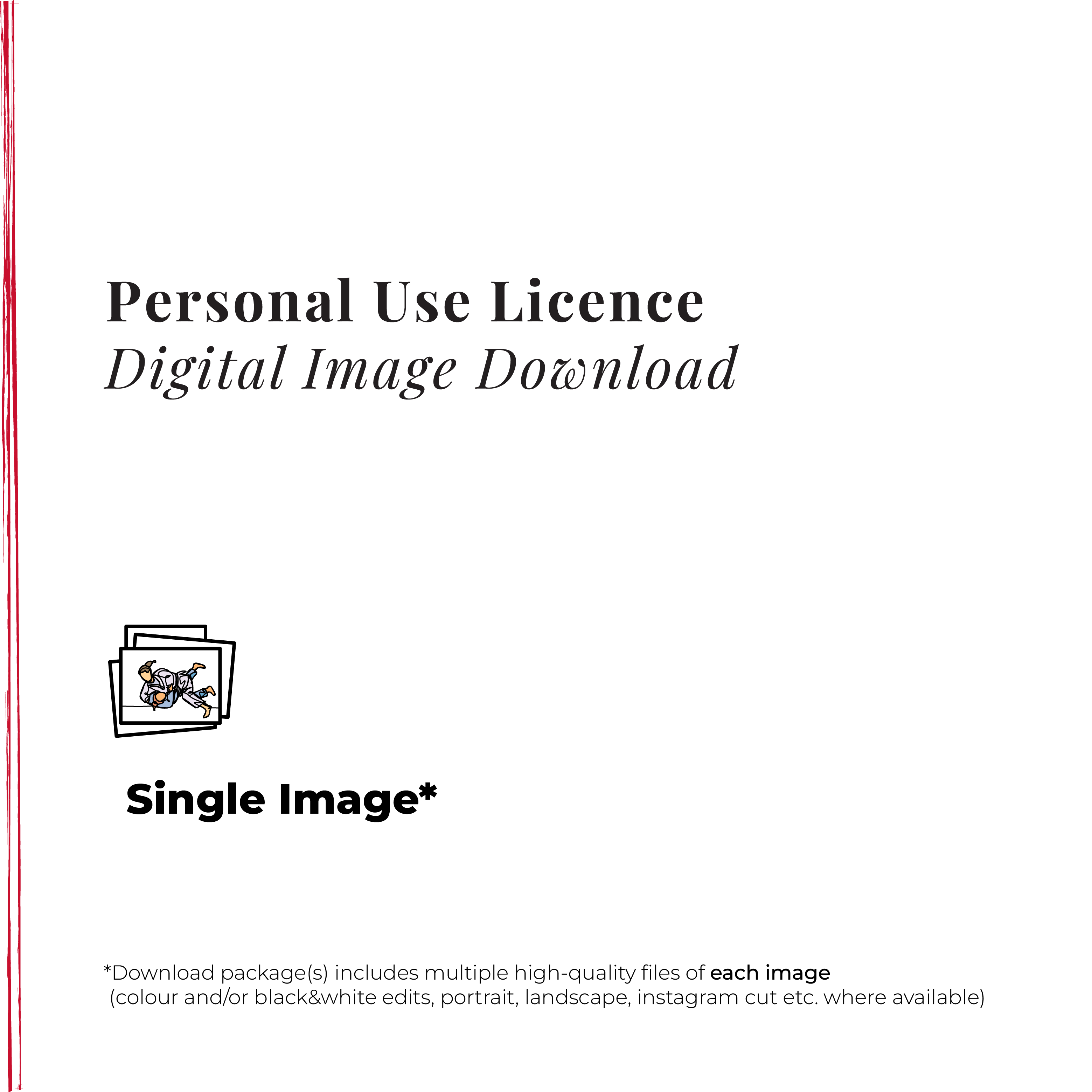 π Personal Use Licence