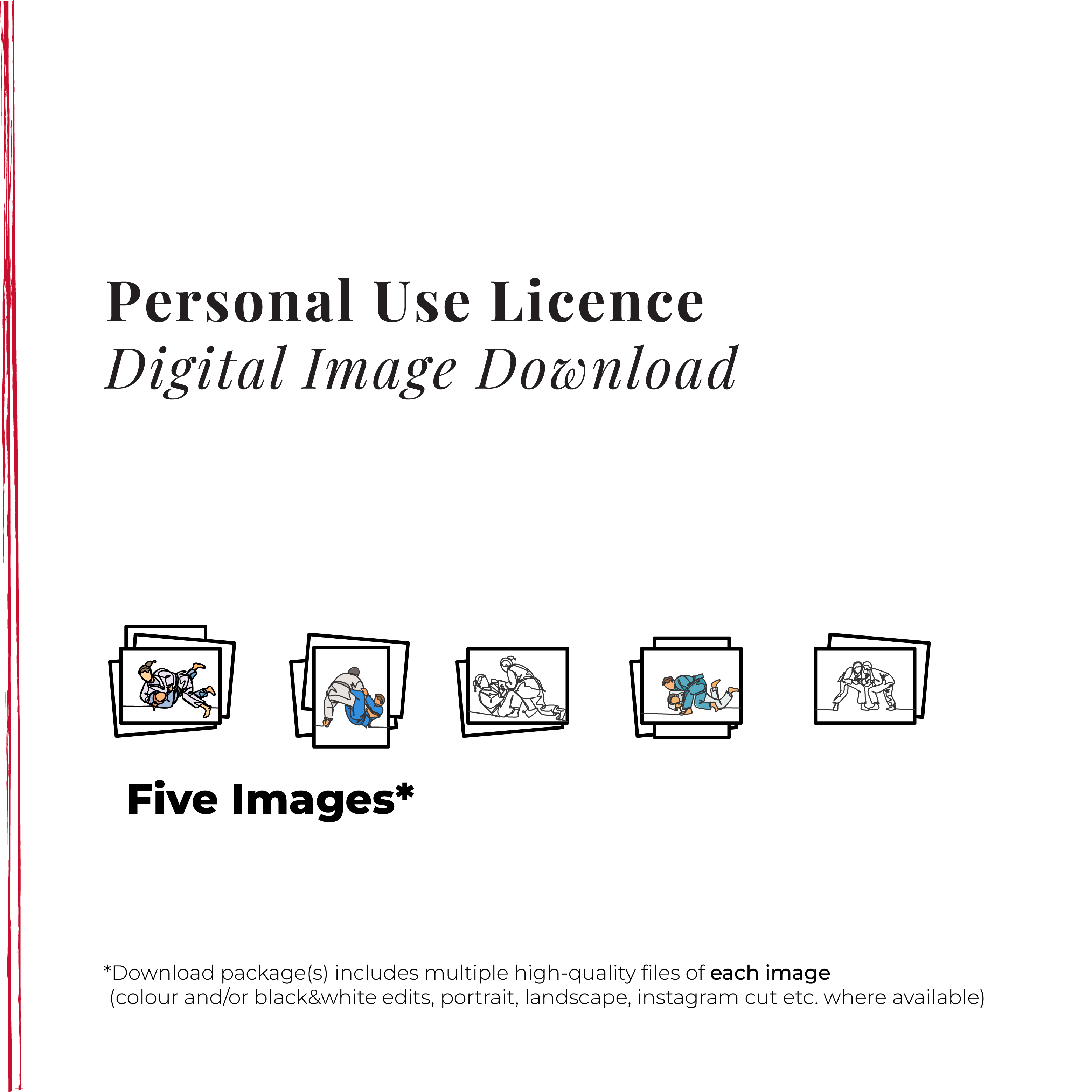 🔐 Personal Use Licence