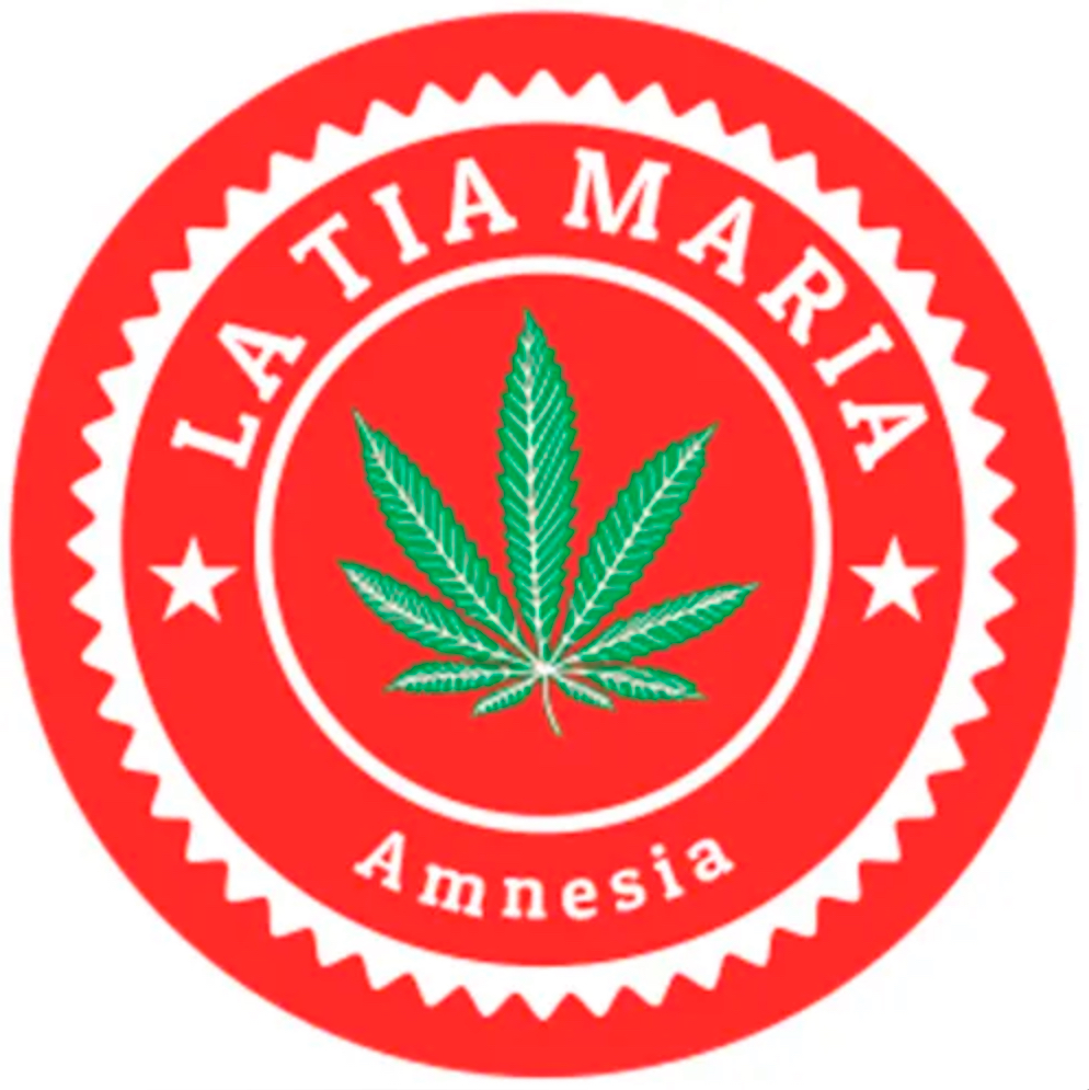 AMNESIA