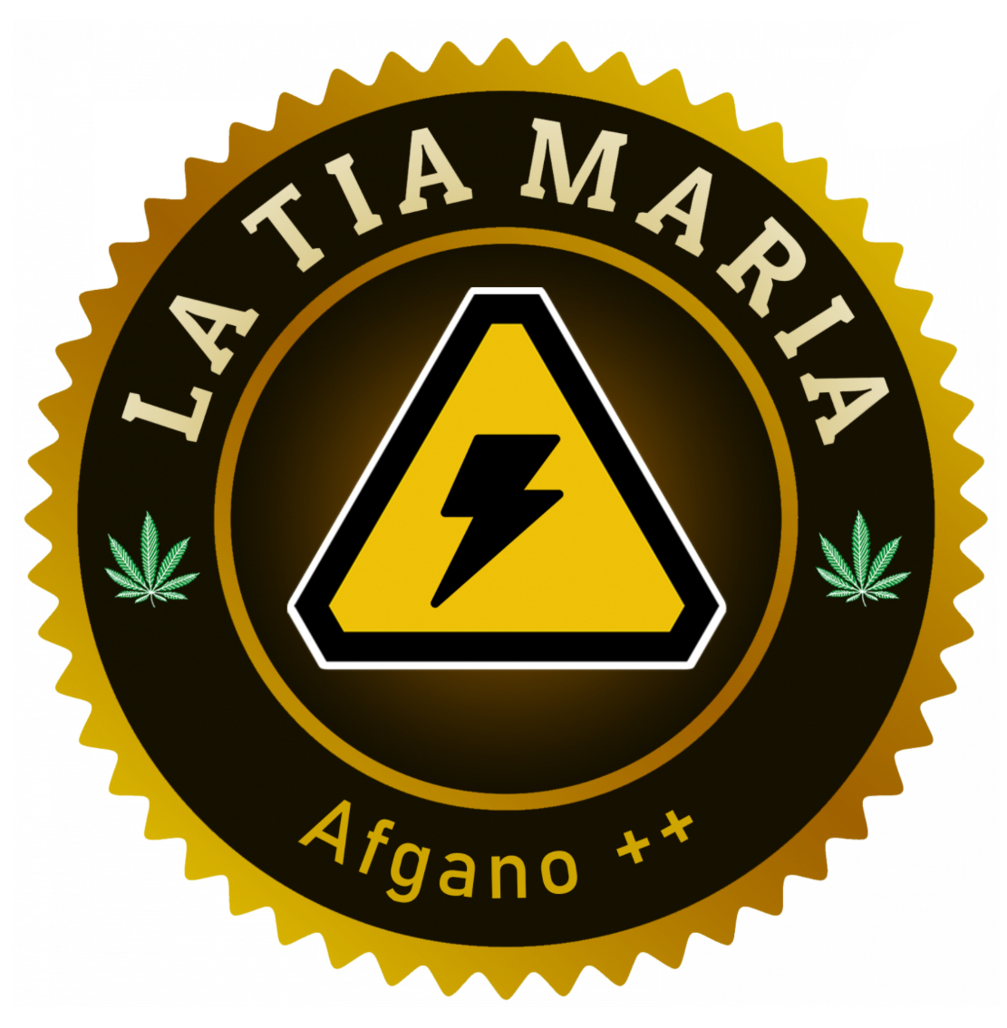 AFGANO ++