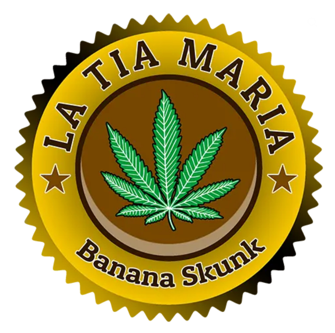Banana Skunk ¡¡NUEVA FLOR!!