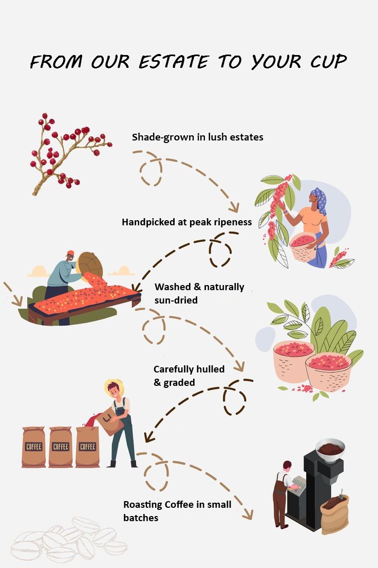 The 80:20 Blend : MEDIUM ROAST BEANS