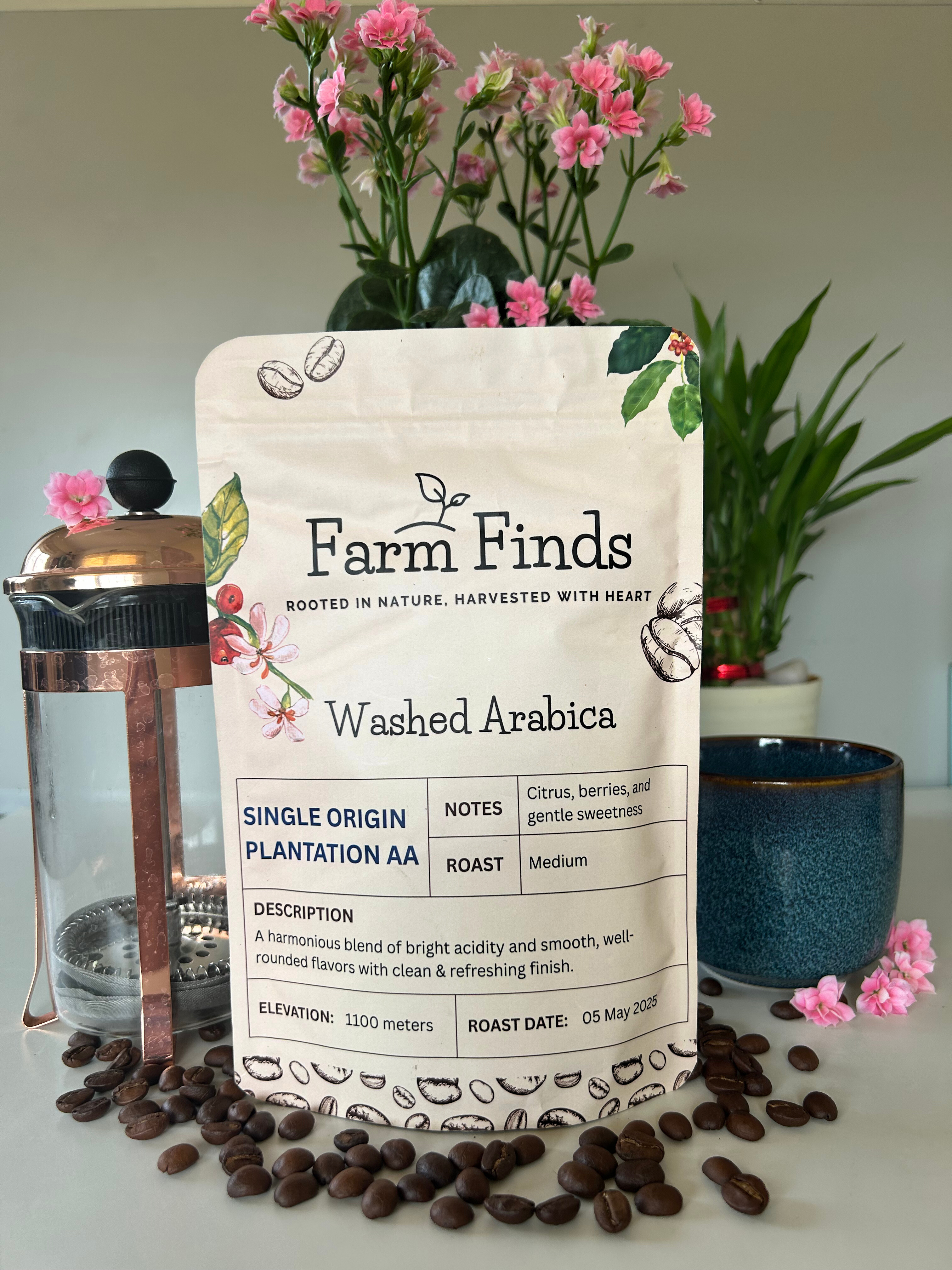 SPECIALTY Washed Arabica : MEDIUM ROAST BEANS