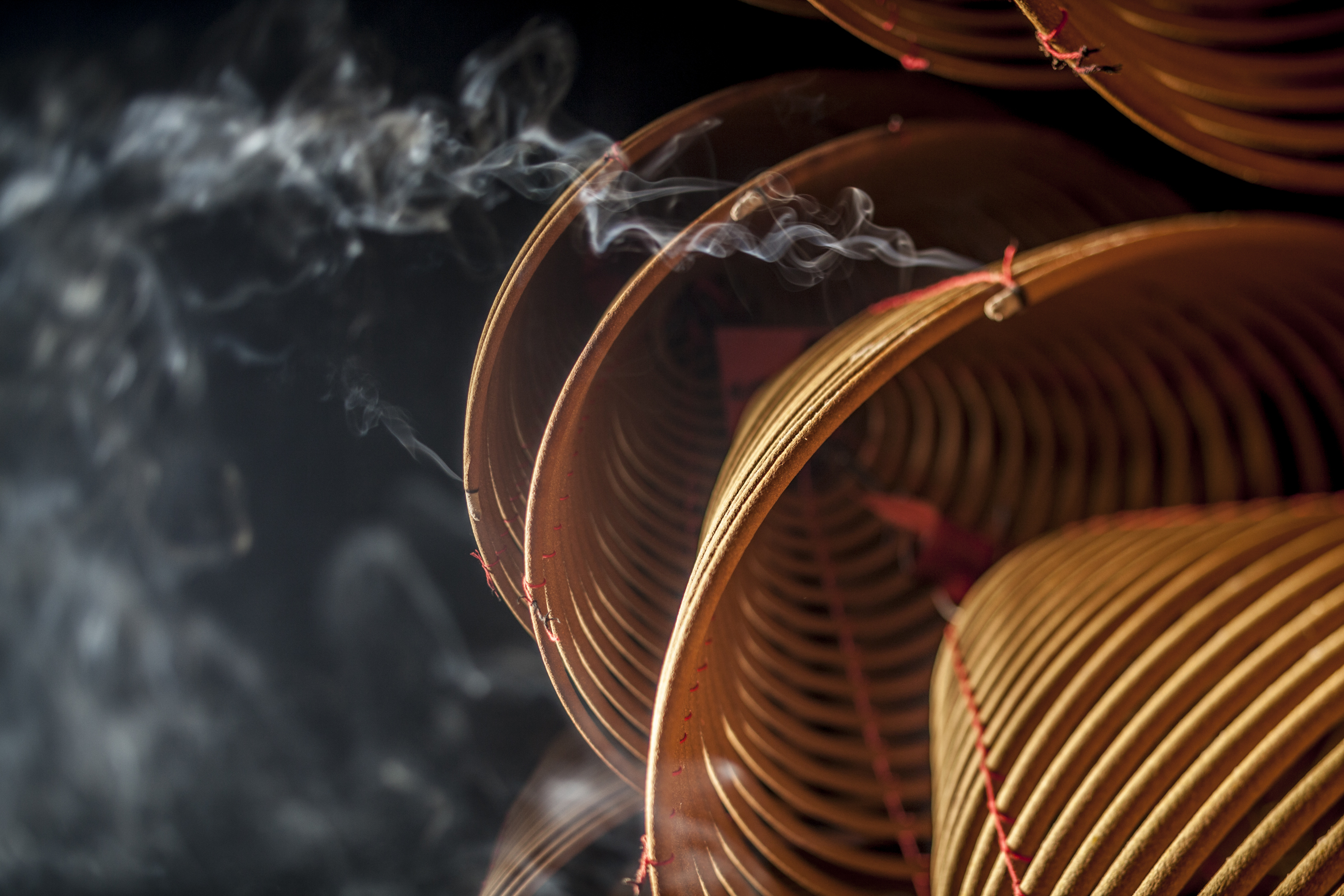 Tours and travel Services