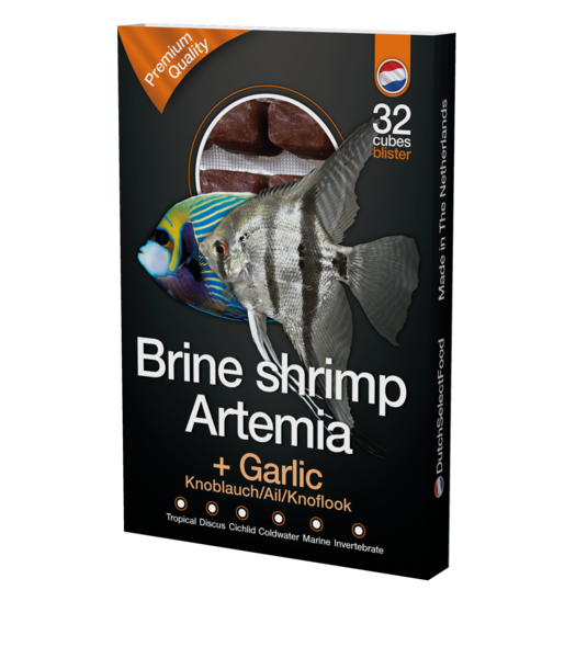 Brine shrimp/ artemia + garlic