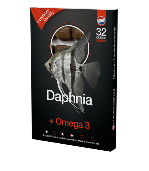 Daphnia + omega 3