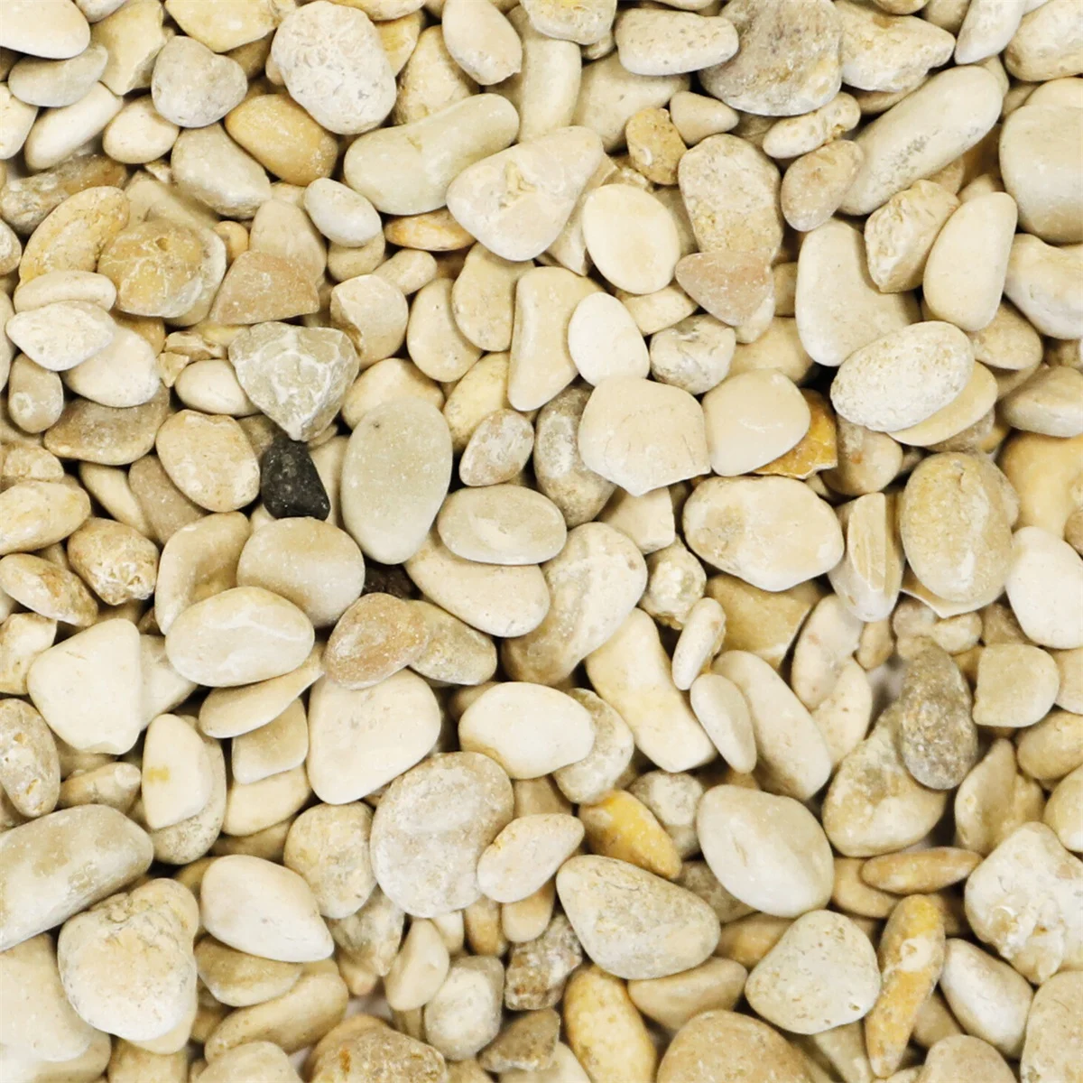 British brown grind 5-8mm