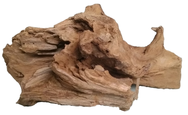 Driftwood