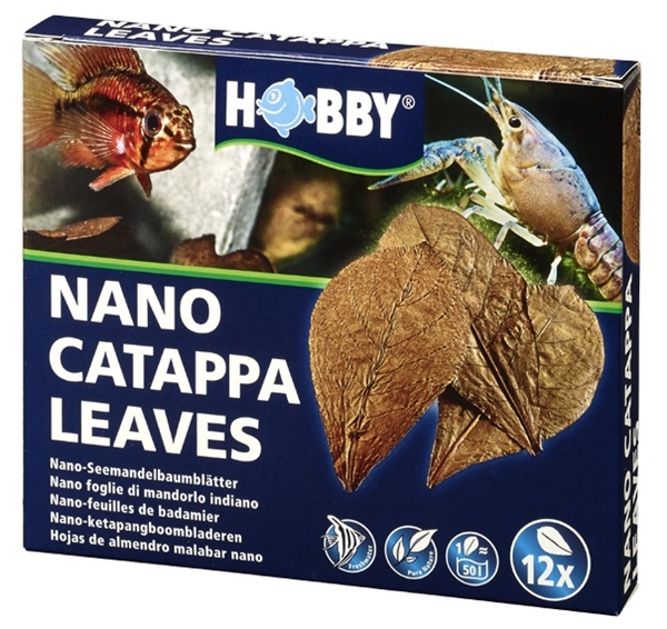Catappa leaves - Nano