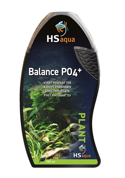 Balance PO4 +