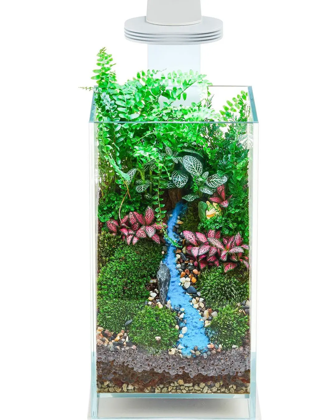 Wabi Kusa terrarium set - Vierkant