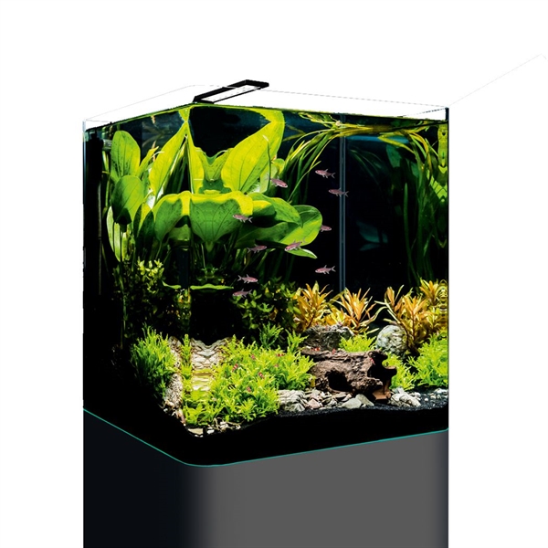 NanoCube Basic 60 L