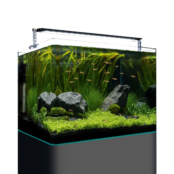 Nano Tank Plant PRO 70 L