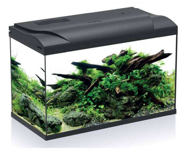 Platy 70 LED