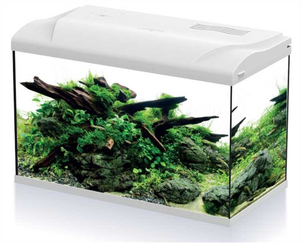 Platy 70 LED