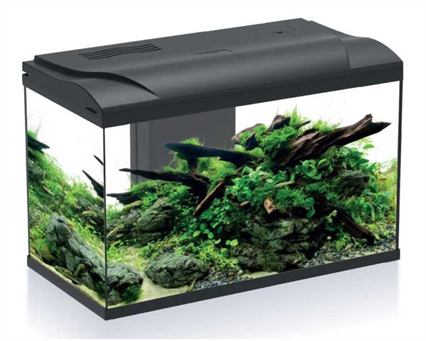Platy BIO 70  LED