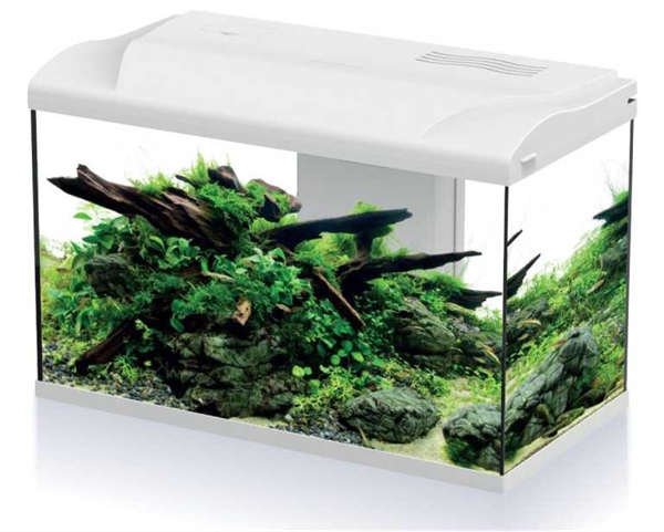 Platy BIO 70  LED