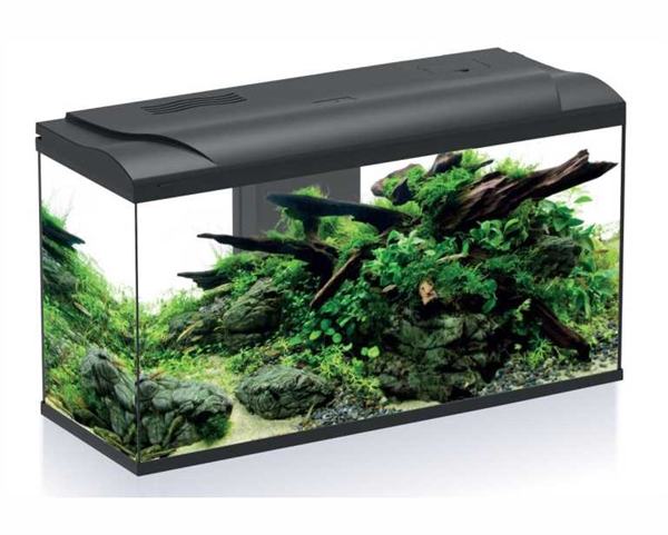 Platy BIO 110  LED