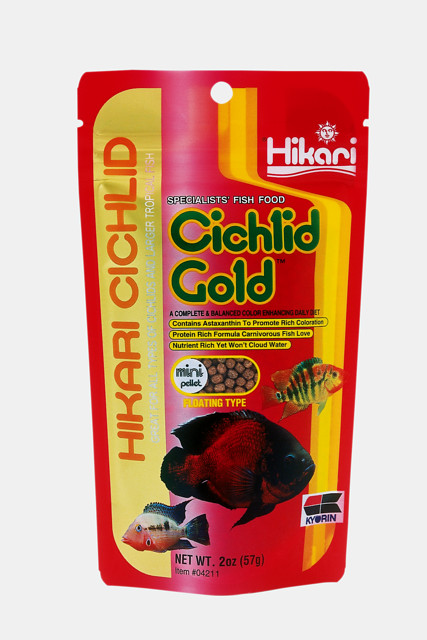 Cichlid Gold