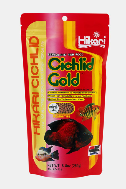 Cichlid Gold