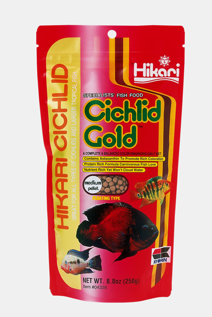 Cichlid Gold