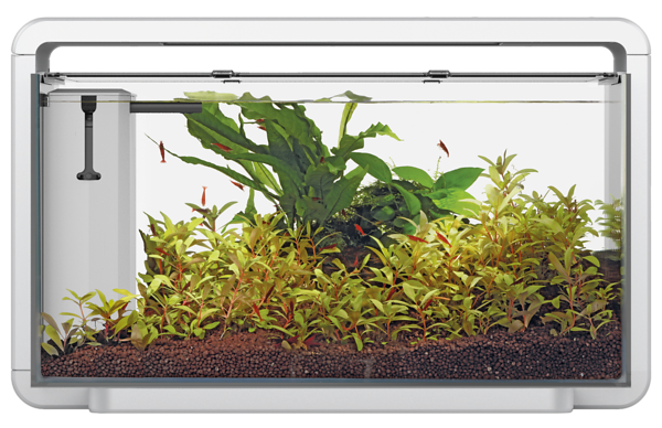 Home 30 + GRATIS aquastart & bactostart