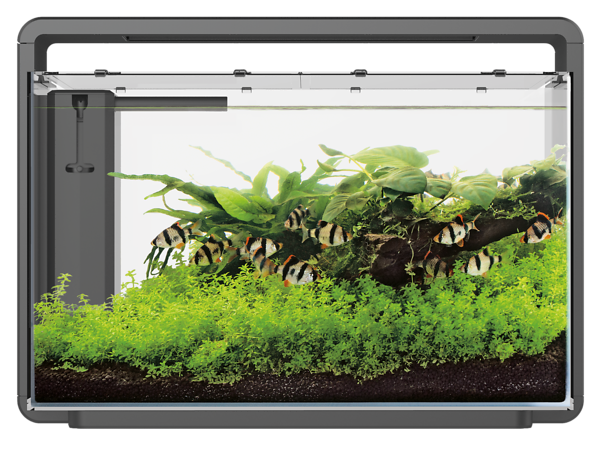 Home 65 + GRATIS  aquastart & bactostart