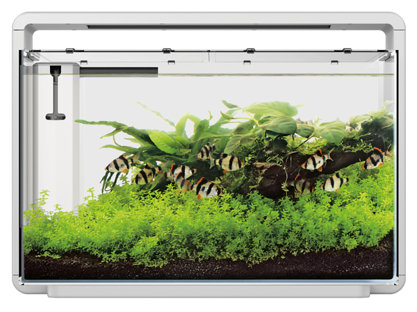 Home 65 + GRATIS  aquastart & bactostart