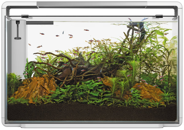 Home 110 + GRATIS aquastart & bactostart