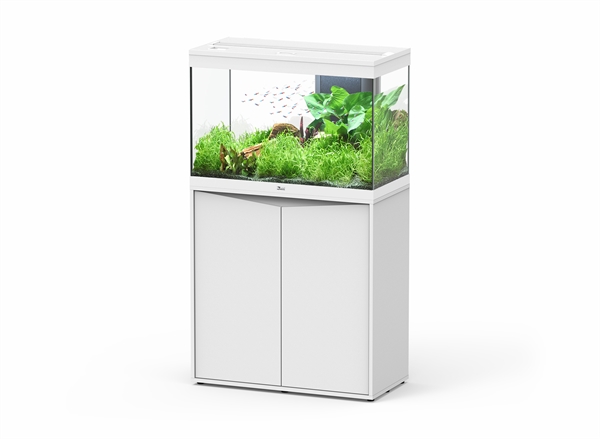 Splendid 80 Ultra RGBW incl. Biobox