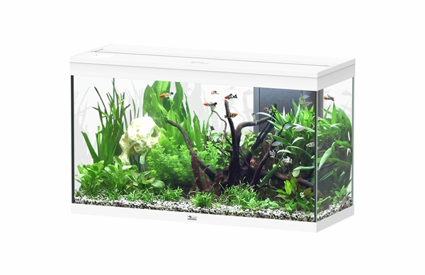 Spledid 100 Ultra WRGB inlc. Biobox