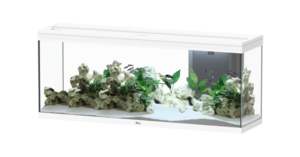 Spledid 150 Ultra WRGB inlc. Biobox