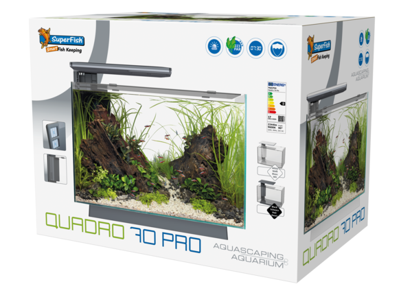 Quadro 70