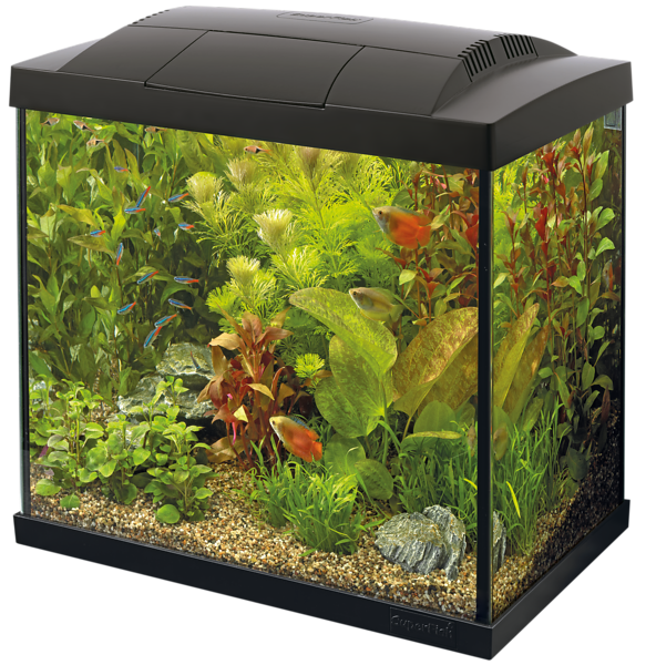 Start 30 Tropical Kit