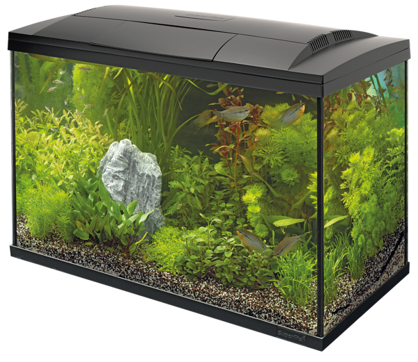 Start 150 Tropical Kit