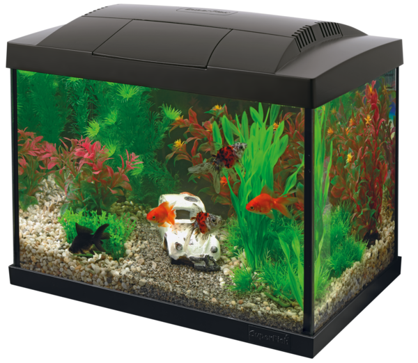Start 20 aquarium Kit