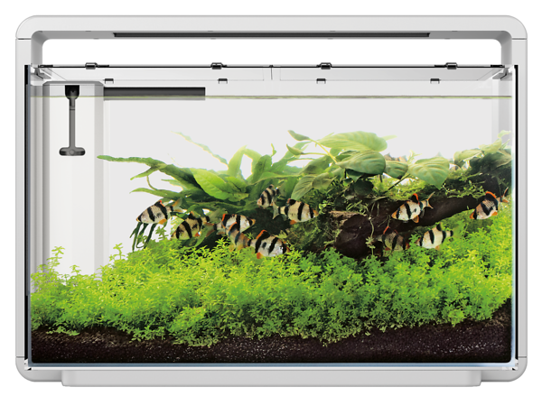 Home 65 + GRATIS  aquastart & bactostart