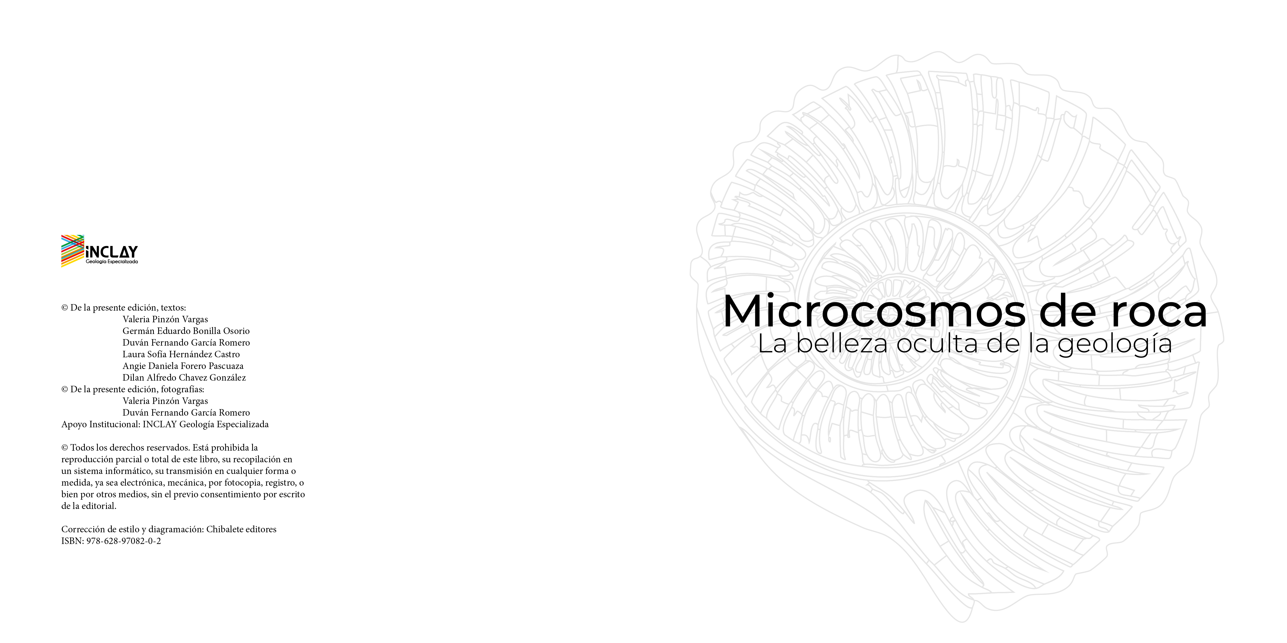 Microcosmos de roca