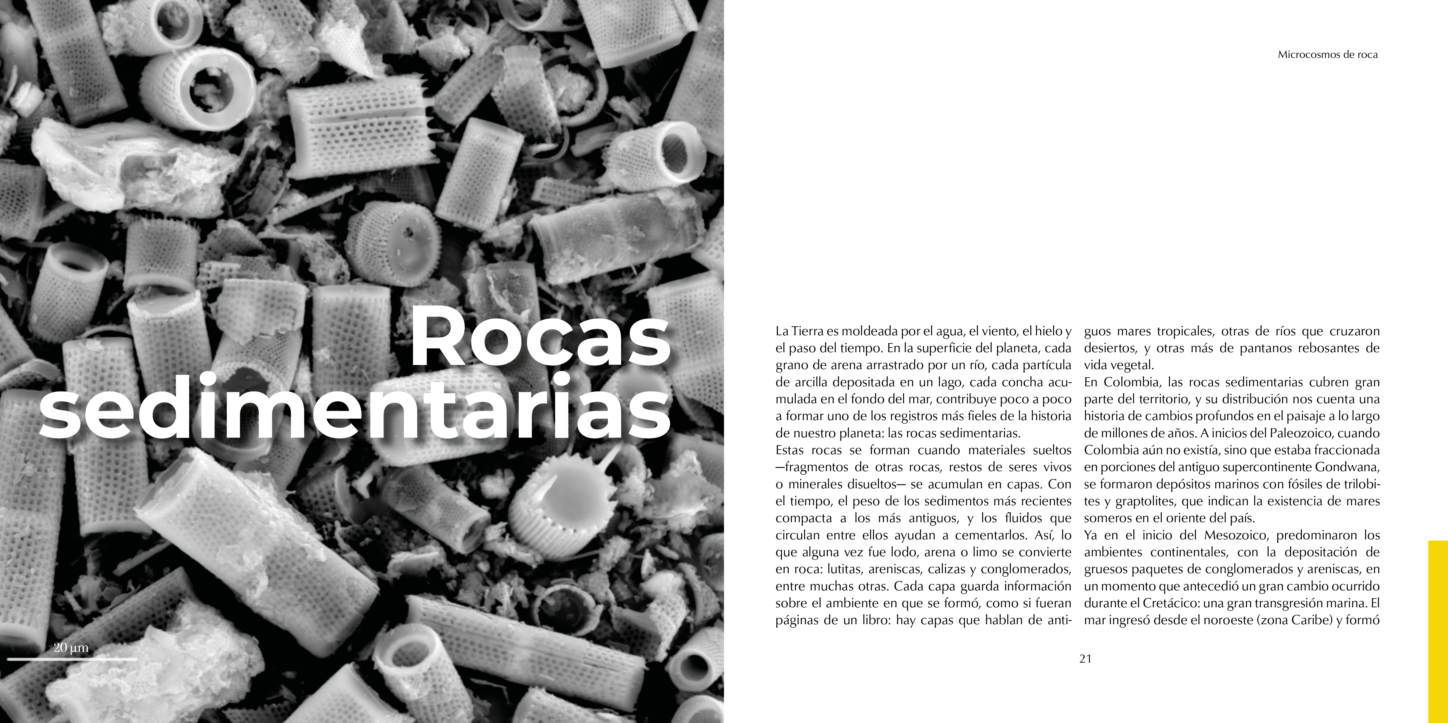 Microcosmos de roca