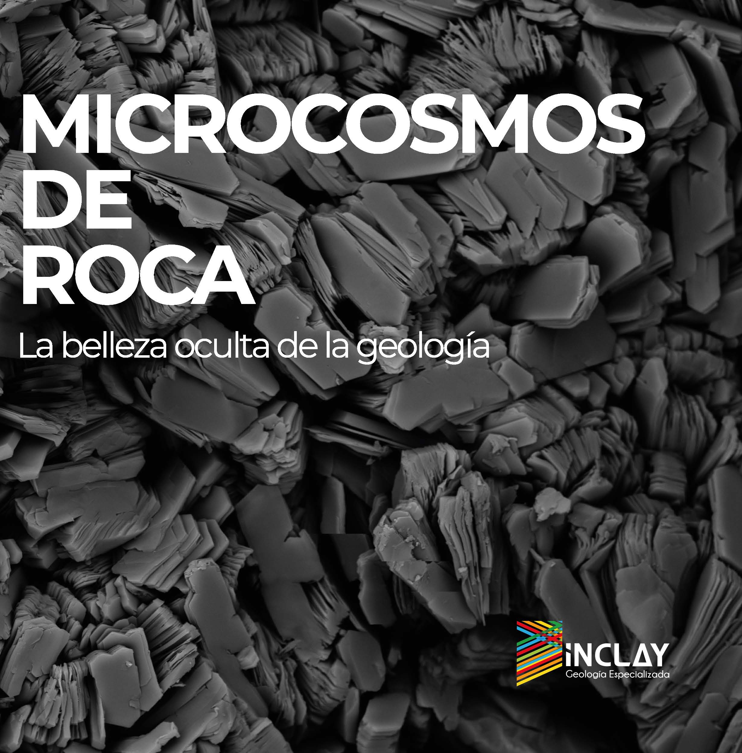Microcosmos de roca