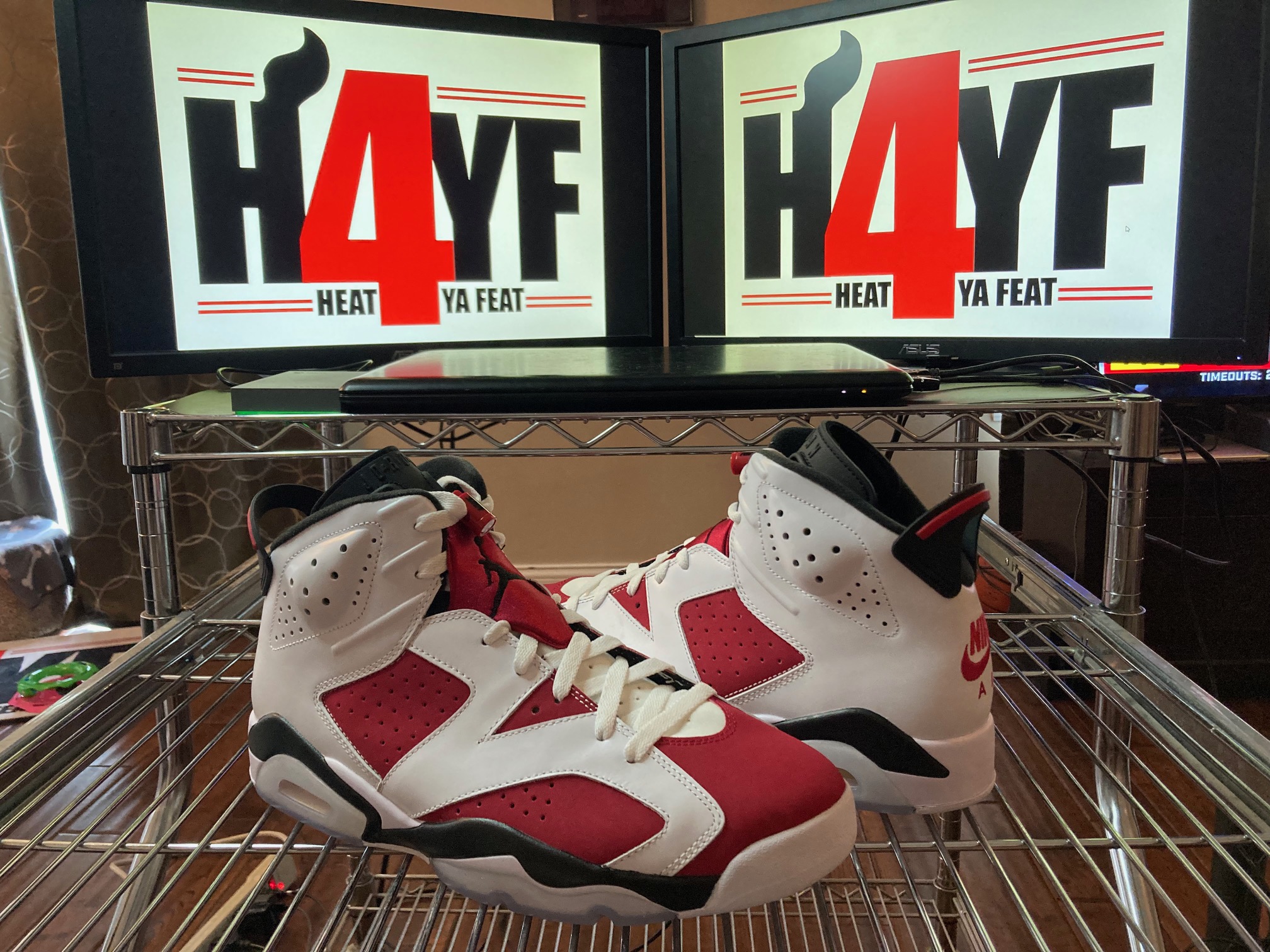 Air Jordan 6 “Carmine” Sz 12