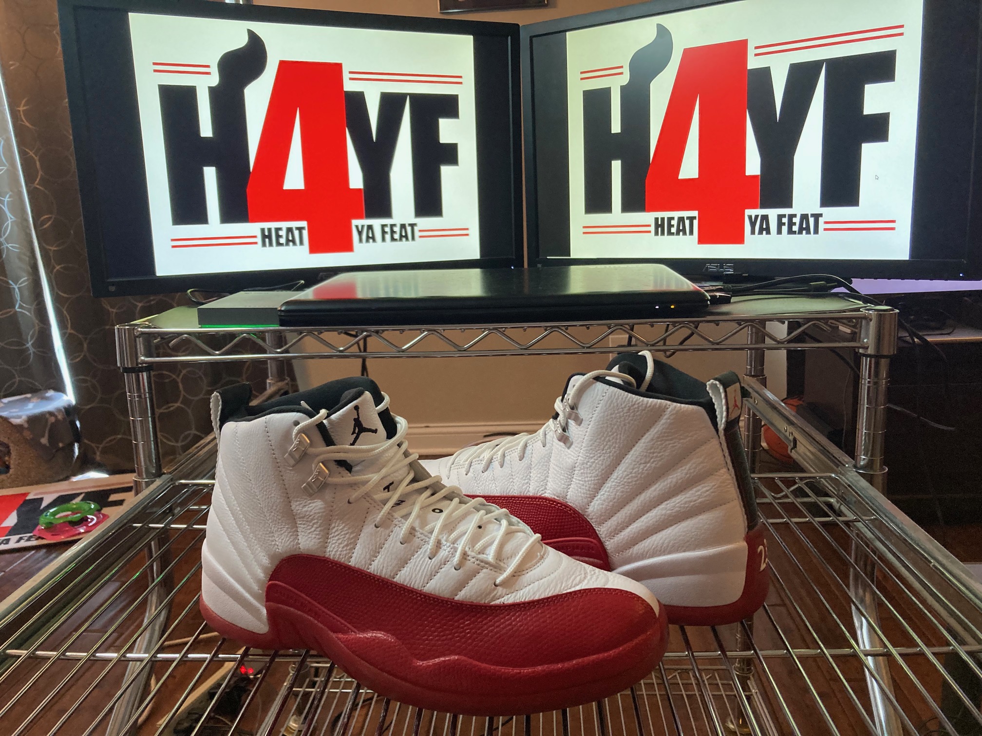 Air Jordan 12 “Cherry” Sz 12