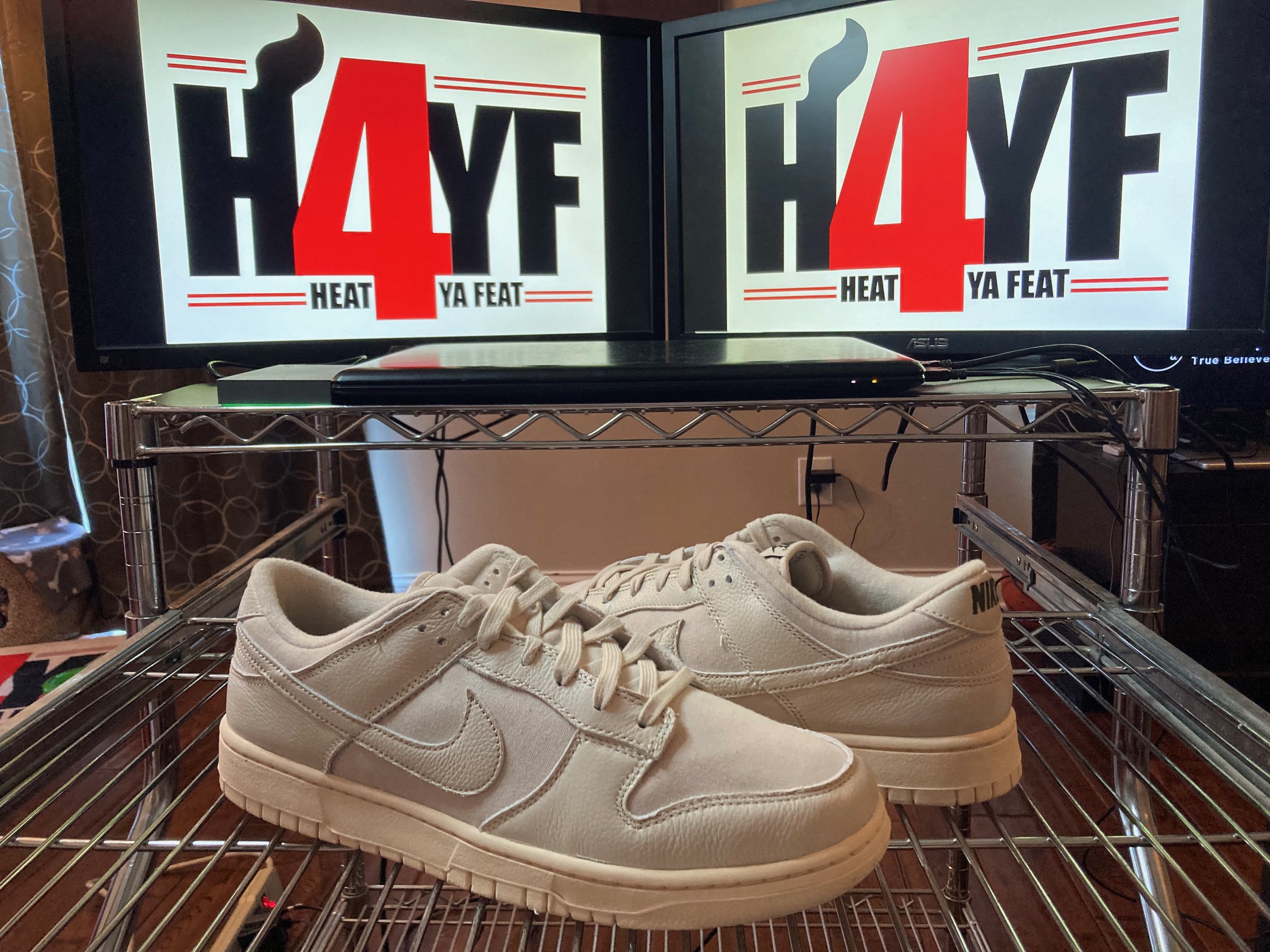 Nike Dunk Low “Chinook Salmon” Sz 12