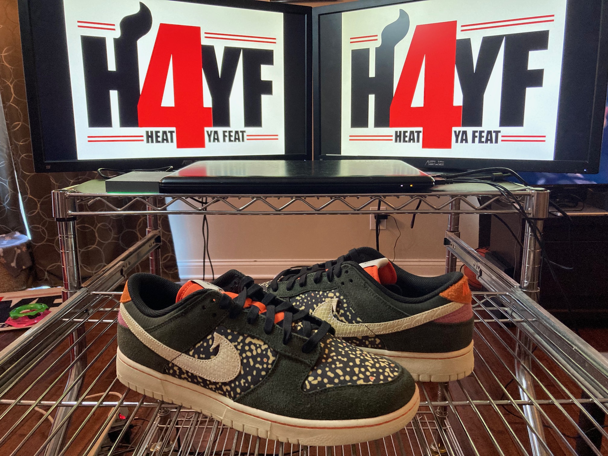 Nike Dunk Low “Rainbow Trout” Sz 12