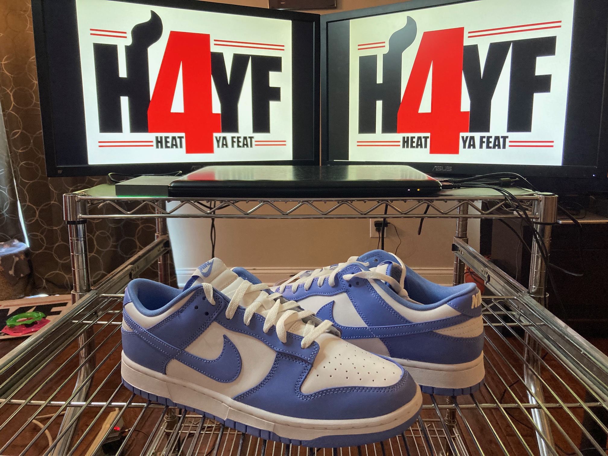 Nike Dunk Low “Polar” Sz 12