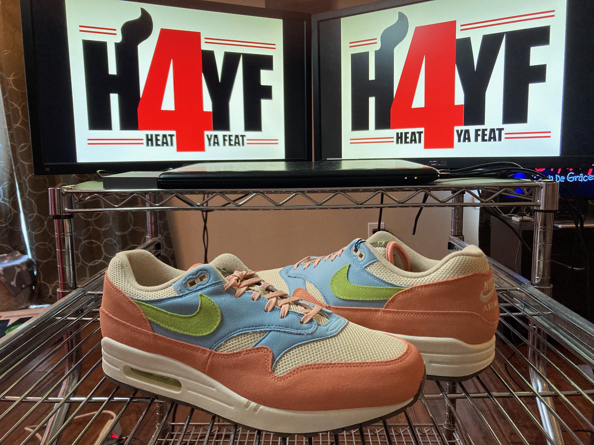 Nike Air Max 1 “Light Madder Root” Sz 12