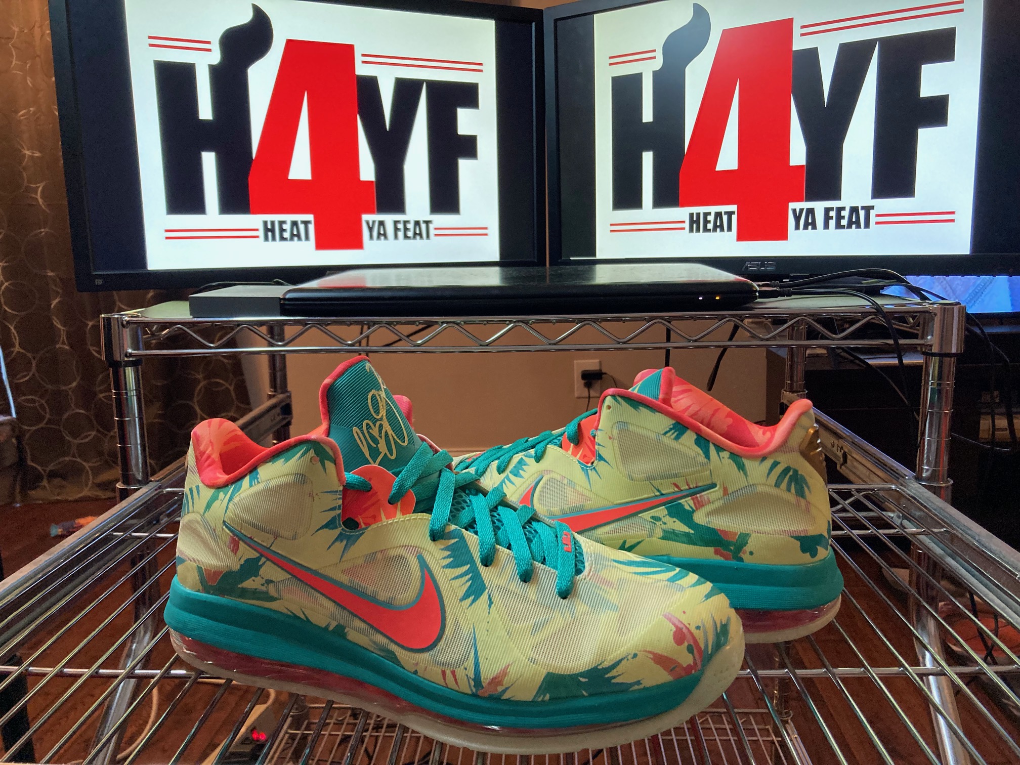 Nike LeBron 9 Low “LeBronold Palmer” Sz 12