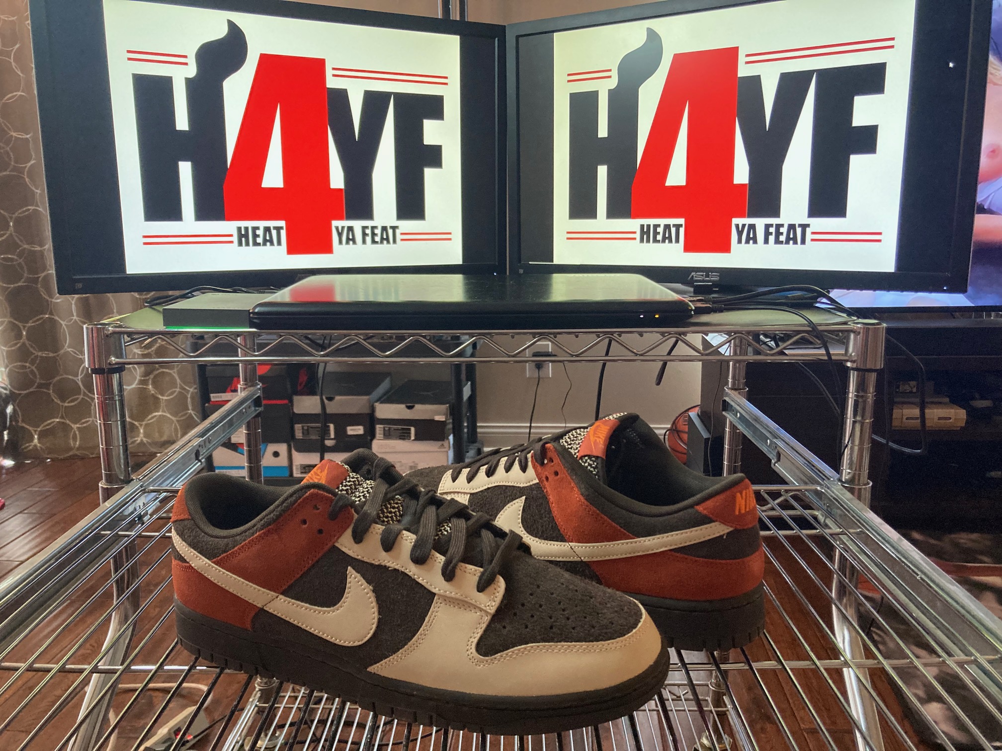 Nike Dunk Low “Red Panda” Sz 12