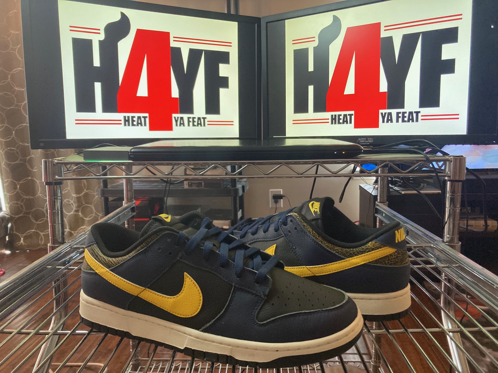 Nike Dunk Low “Michigan” Sz 12